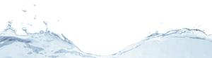 Pollardwater